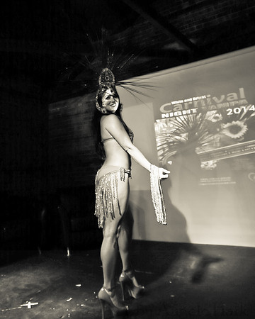 White and Bright Carnival Night 2014