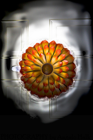 Door to Metal Nature