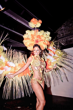 White and Bright Carnival Night 2014