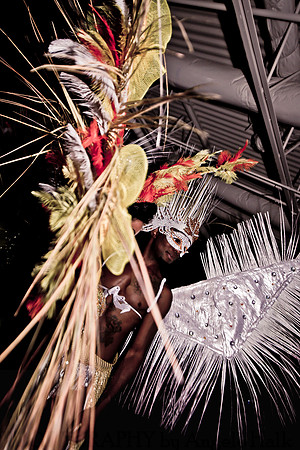 White and Bright Carnival Night 2014