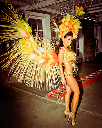 White and Bright Carnival Night 2014