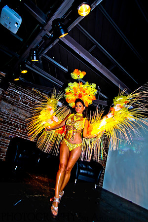White and Bright Carnival Night 2014