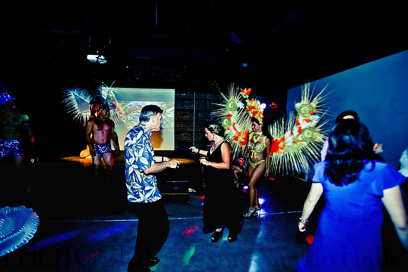 White and Bright Carnival Night 2014