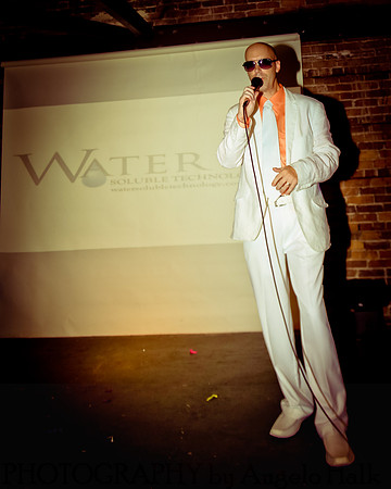 White and Bright Carnival Night 2014