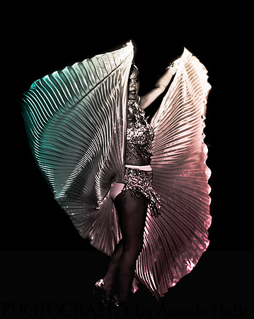 White and Bright Carnival Night 2014