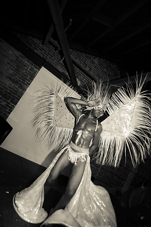 White and Bright Carnival Night 2014