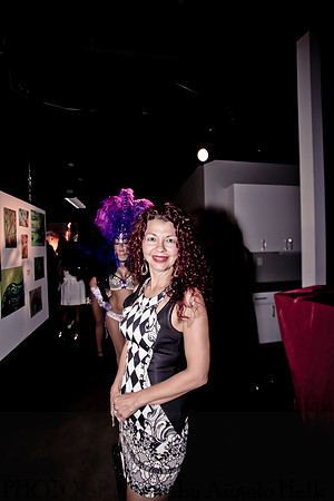 White and Bright Carnival Night 2014