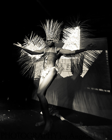 White and Bright Carnival Night 2014
