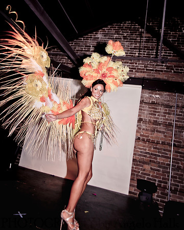 White and Bright Carnival Night 2014