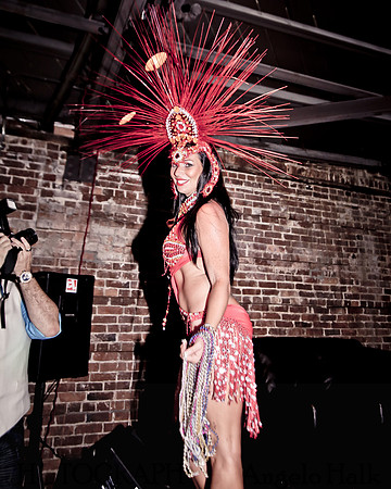 White and Bright Carnival Night 2014
