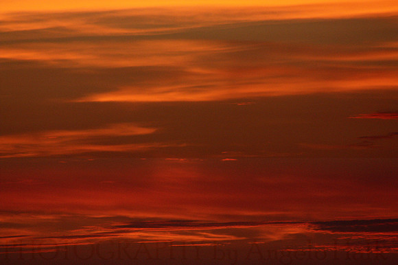 Red Dawn